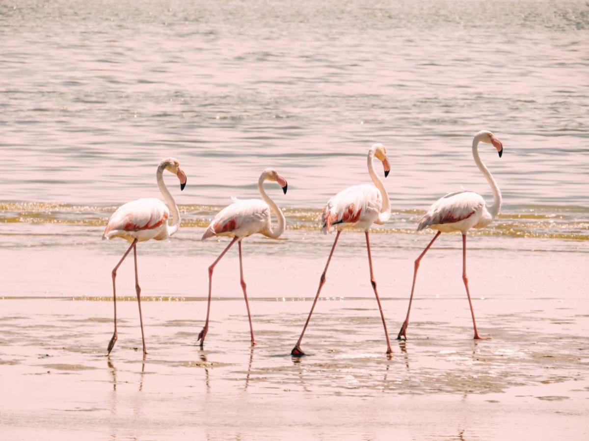 Lagoon View Self Catering Walvis Bay Extérieur photo