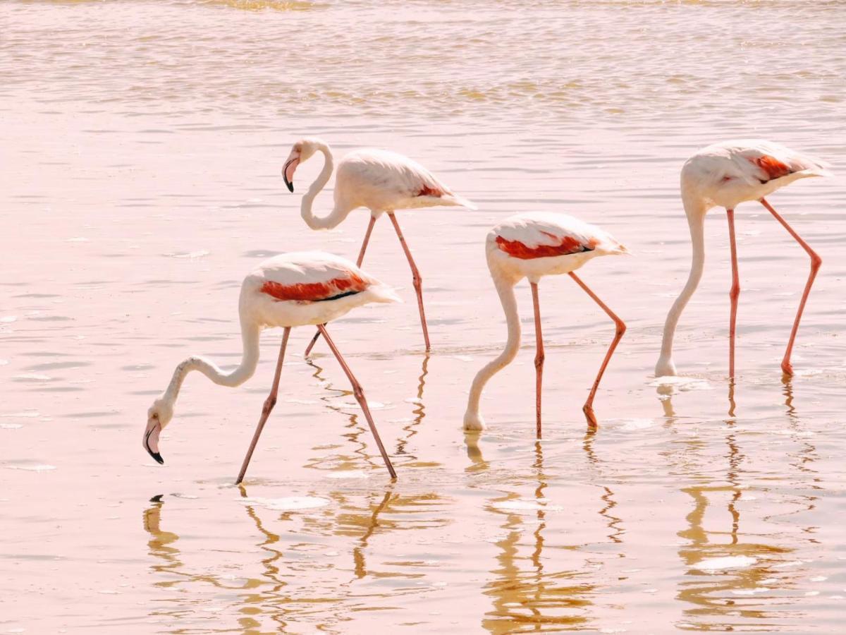 Lagoon View Self Catering Walvis Bay Extérieur photo