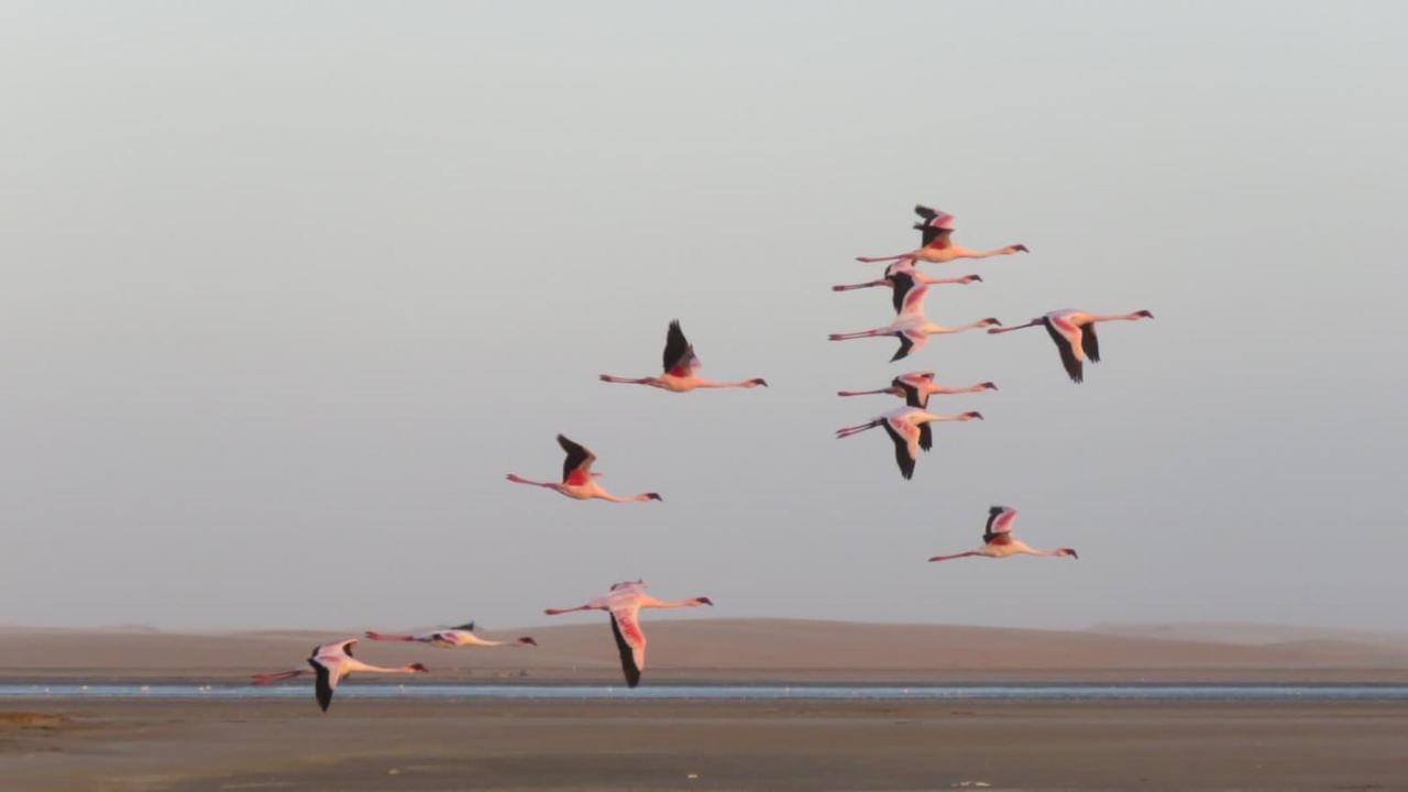 Lagoon View Self Catering Walvis Bay Extérieur photo