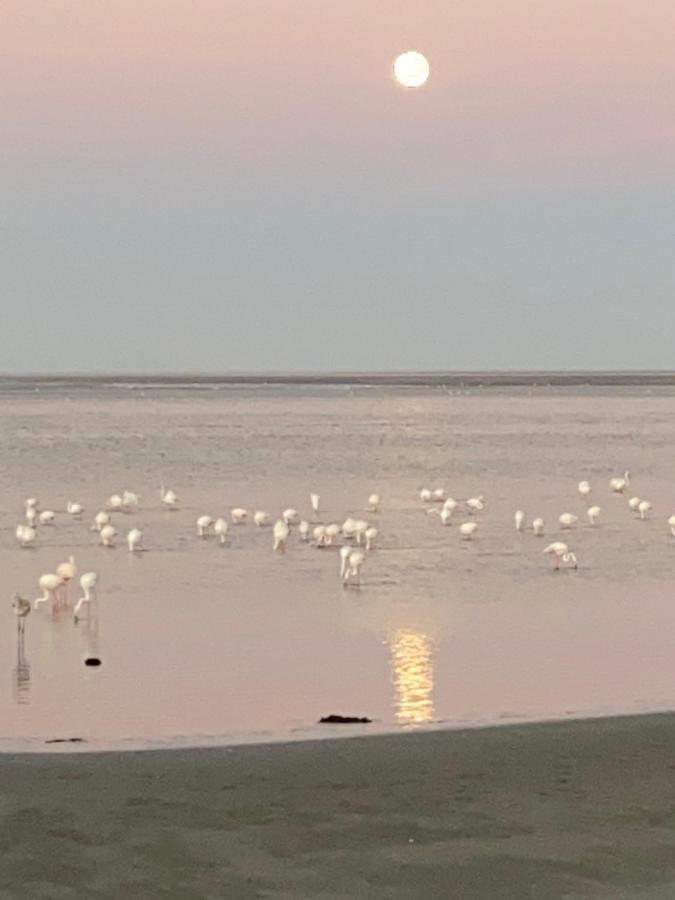 Lagoon View Self Catering Walvis Bay Extérieur photo
