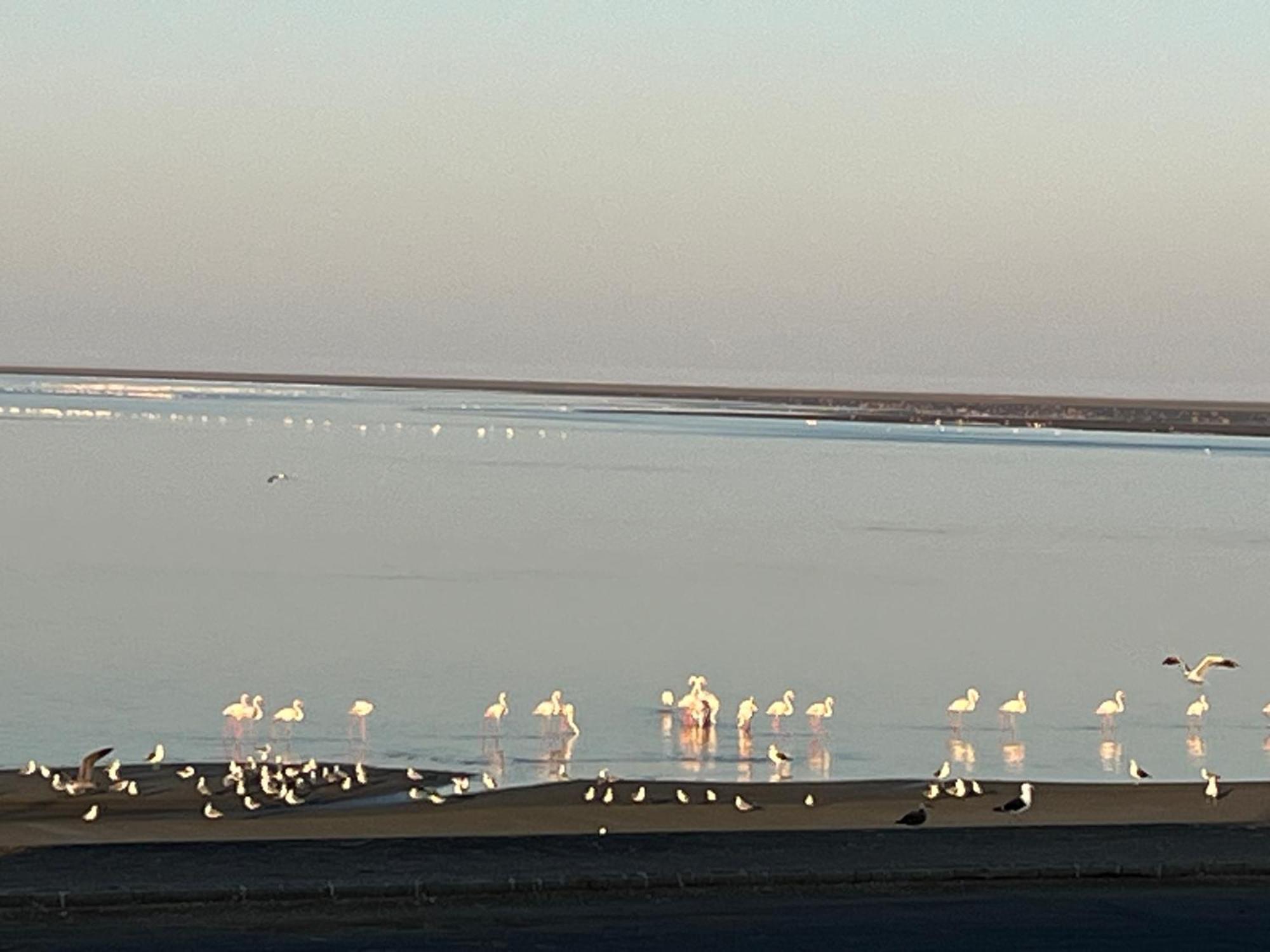 Lagoon View Self Catering Walvis Bay Extérieur photo