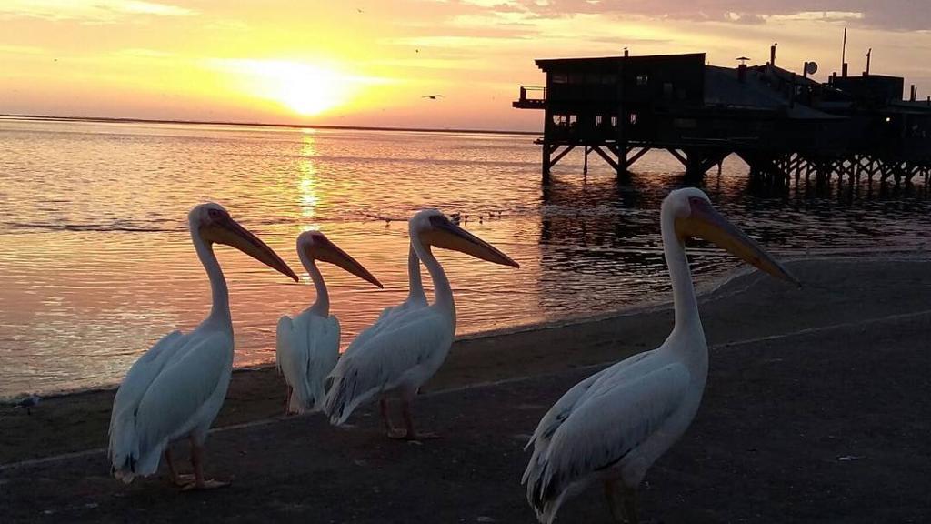 Lagoon View Self Catering Walvis Bay Extérieur photo